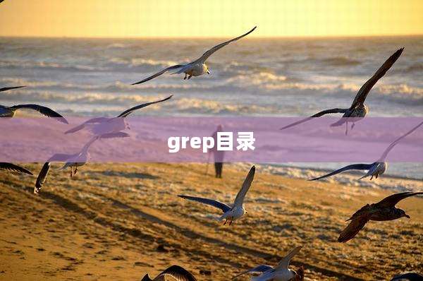 grep目录