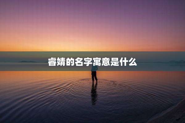 睿婧的名字寓意是什么