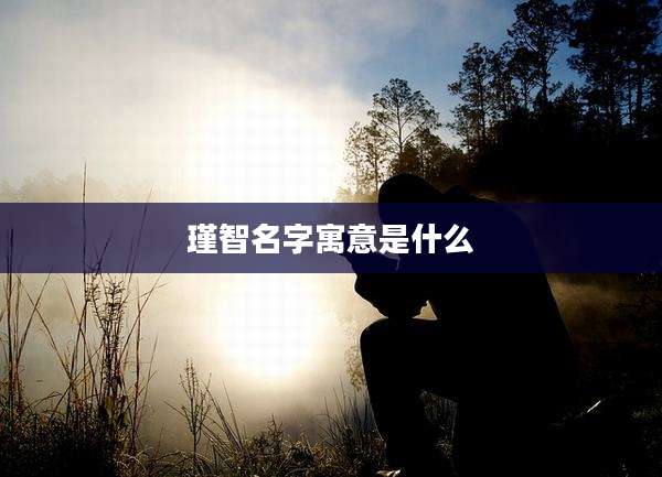 瑾智名字寓意是什么