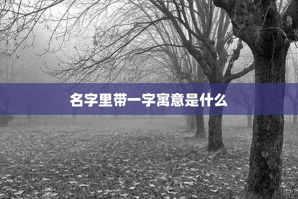 名字里带一字寓意是什么