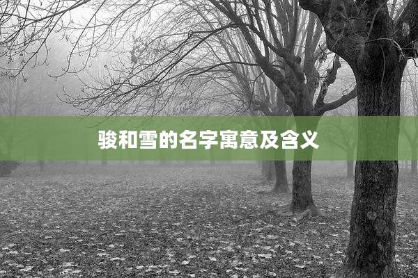 骏和雪的名字寓意及含义