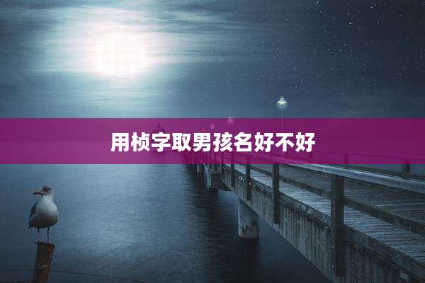 用桢字取男孩名好不好