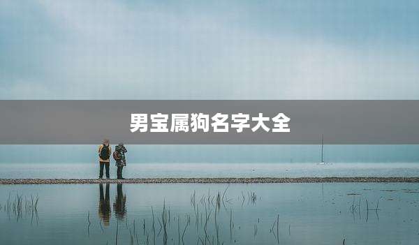 男宝属狗名字大全