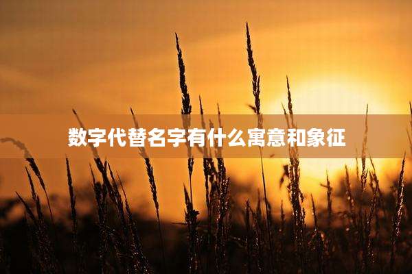 数字代替名字有什么寓意和象征