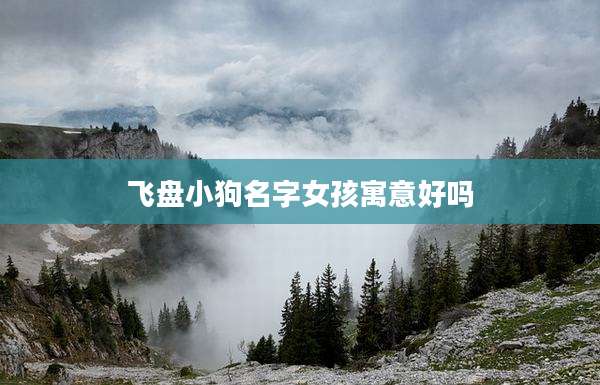 飞盘小狗名字女孩寓意好吗