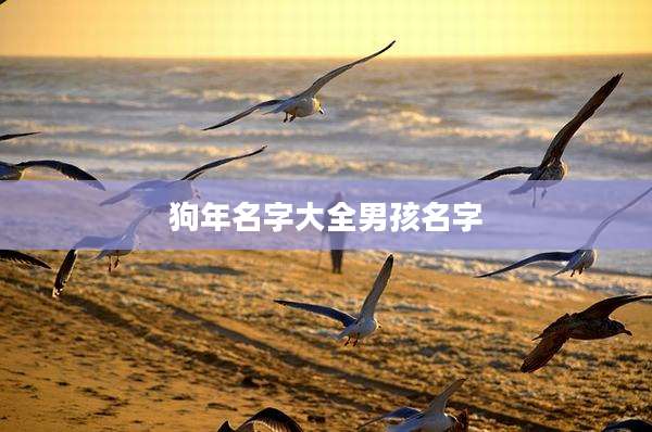 狗年名字大全男孩名字
