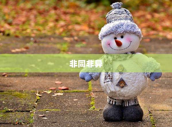 非同非异