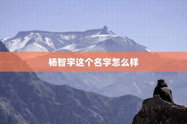 杨智宇这个名字怎么样