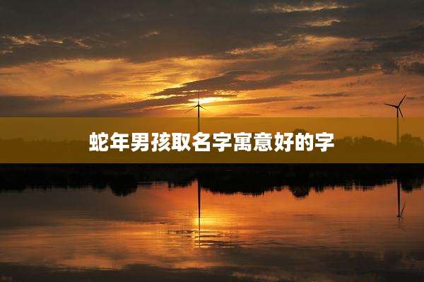 蛇年男孩取名字寓意好的字