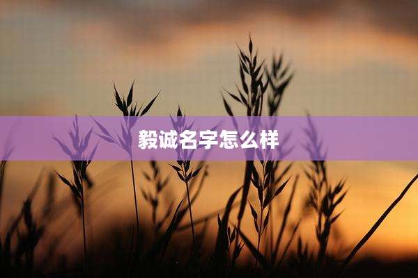 毅诚名字怎么样