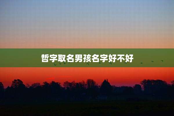 哲字取名男孩名字好不好