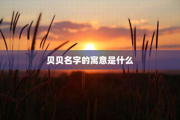 贝贝名字的寓意是什么