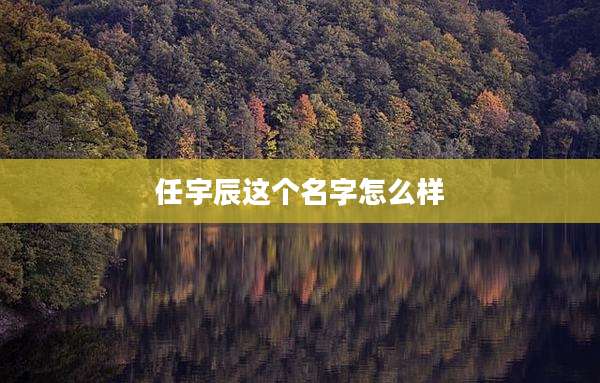 任宇辰这个名字怎么样