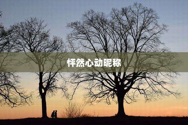怦然心动昵称
