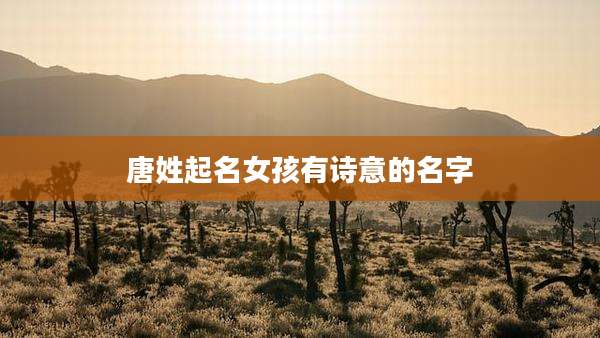 唐姓起名女孩有诗意的名字