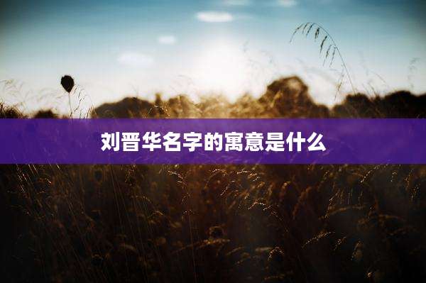 刘晋华名字的寓意是什么