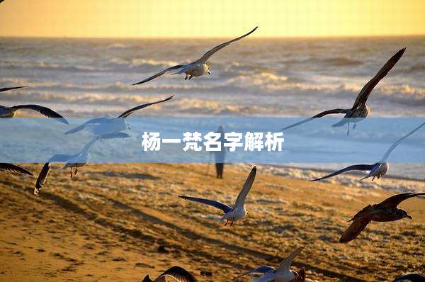 杨一梵名字解析