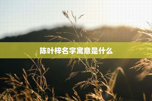 陈叶梓名字寓意是什么