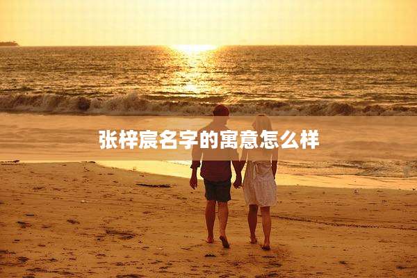 张梓宸名字的寓意怎么样