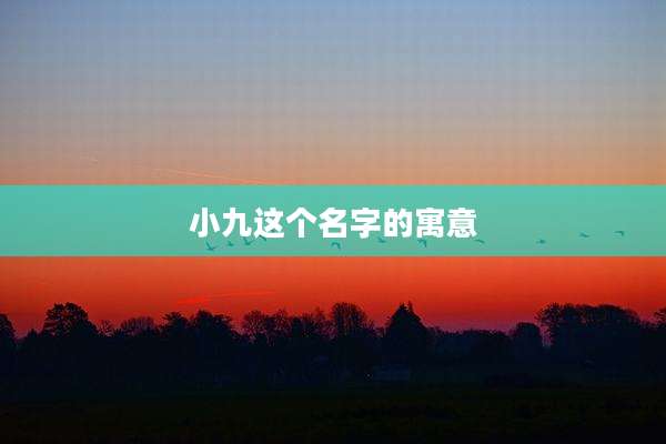 小九这个名字的寓意