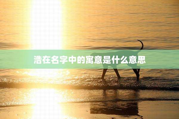 浩在名字中的寓意是什么意思