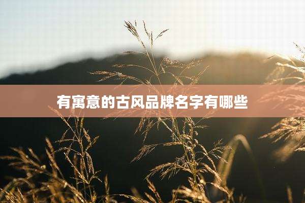 有寓意的古风品牌名字有哪些