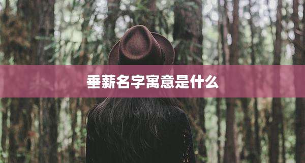 垂薪名字寓意是什么