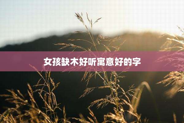女孩缺木好听寓意好的字
