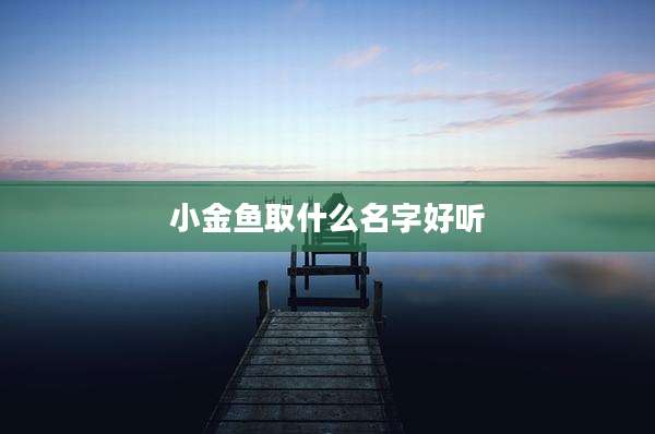 小金鱼取什么名字好听