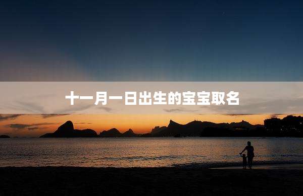 十一月一日出生的宝宝取名