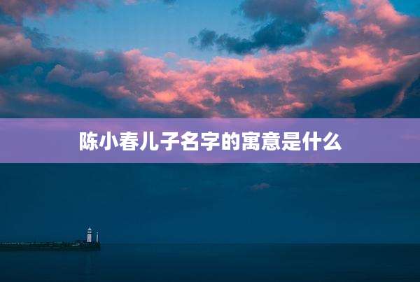 陈小春儿子名字的寓意是什么