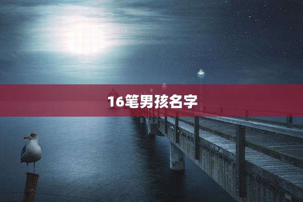 16笔男孩名字