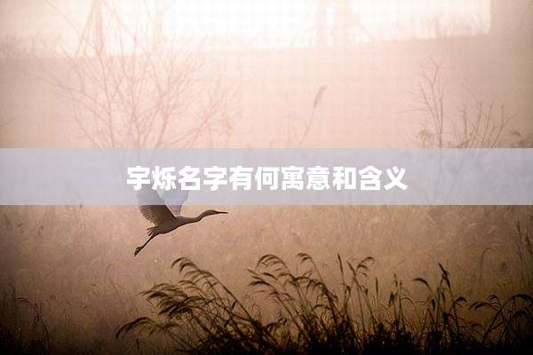 宇烁名字有何寓意和含义