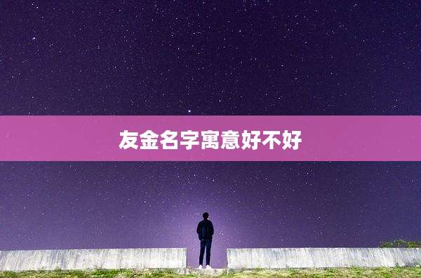 友金名字寓意好不好
