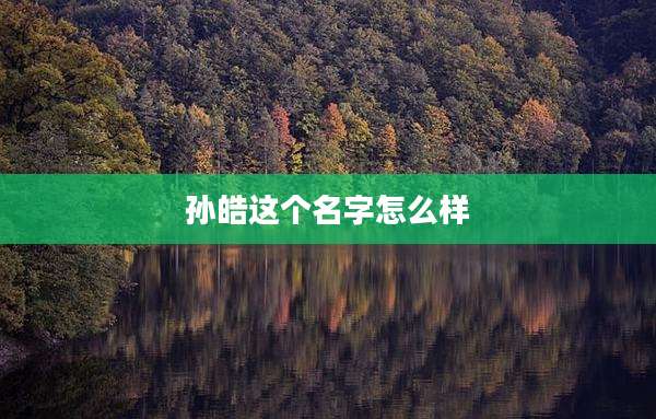孙皓这个名字怎么样