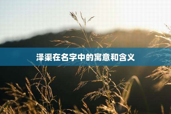 泽渠在名字中的寓意和含义