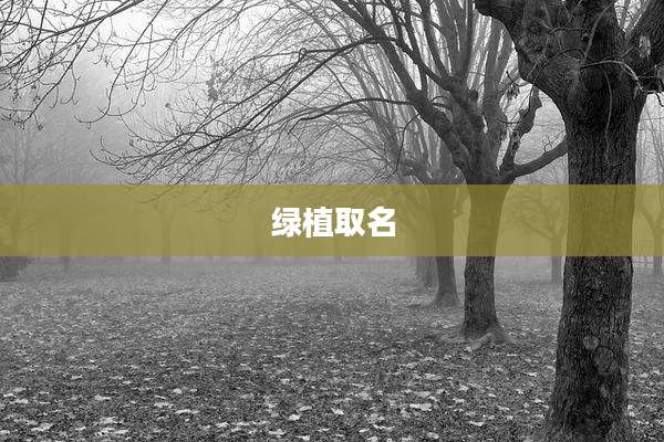 绿植取名