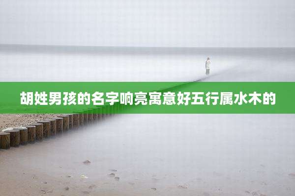 胡姓男孩的名字响亮寓意好五行属水木的