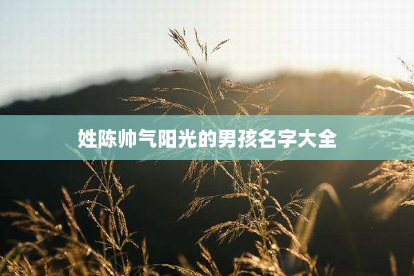 姓陈帅气阳光的男孩名字大全