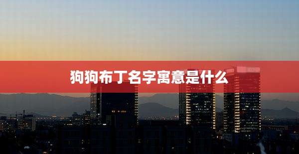 狗狗布丁名字寓意是什么
