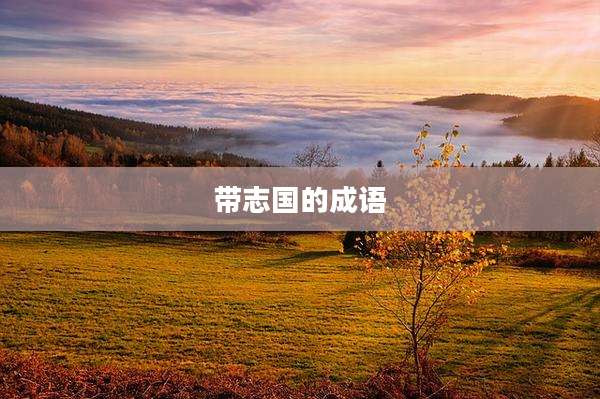 带志国的成语