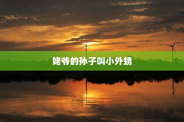 姥爷的孙子叫小外甥