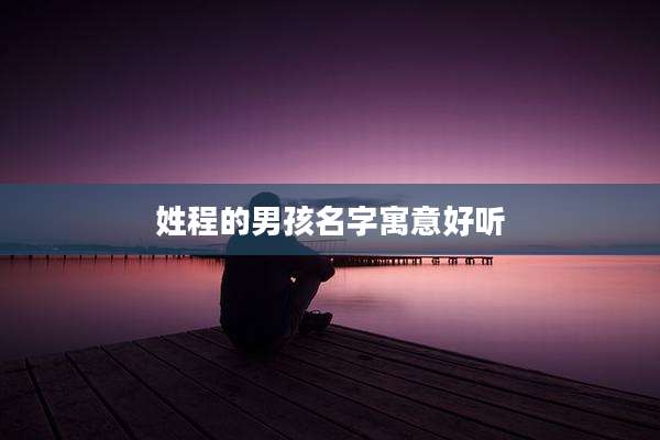 姓程的男孩名字寓意好听