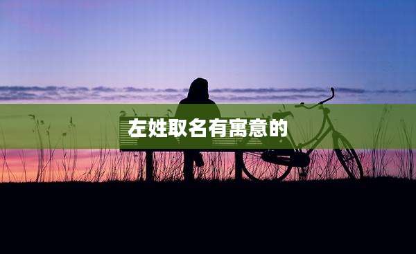 左姓取名有寓意的