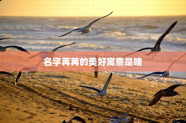 名字苒苒的美好寓意是啥