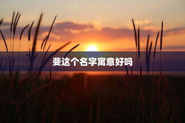 斐这个名字寓意好吗