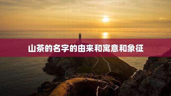 山茶的名字的由来和寓意和象征