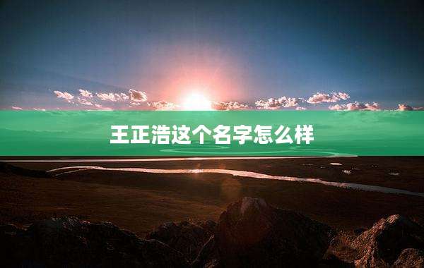 王正浩这个名字怎么样