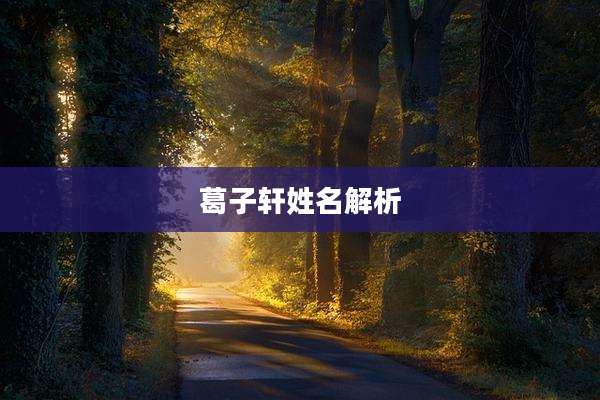 葛子轩姓名解析