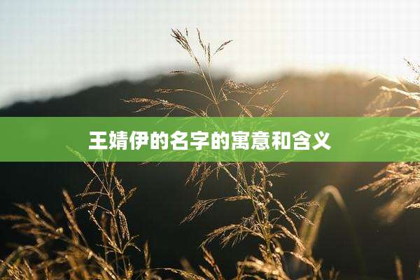 王婧伊的名字的寓意和含义